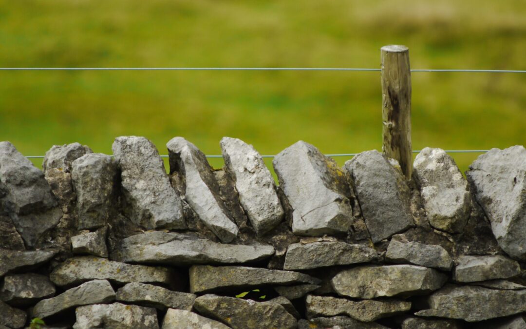 Mastering the Art of Setting Boundaries: Your Guide to a Happier Life