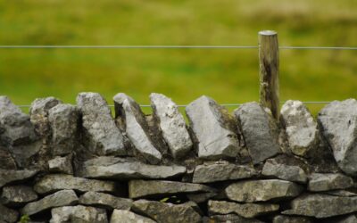 Mastering the Art of Setting Boundaries: Your Guide to a Happier Life